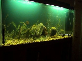 DSC00021.JPG DSC00021.JPG