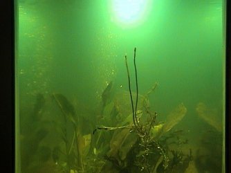 DSC00022.JPG DSC00022.JPG