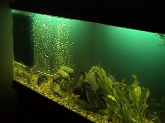 DSC00023.JPG DSC00023.JPG