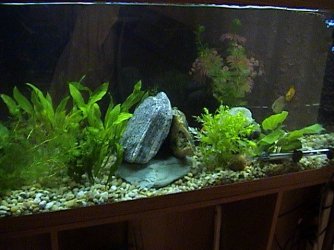 DSC00020.JPG DSC00020.JPG