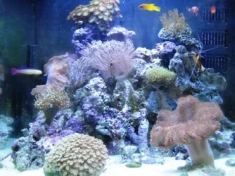 003.webp