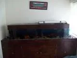 th_101_0716.webp