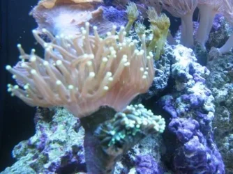 002.webp