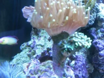 004.webp