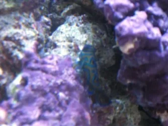 002.webp