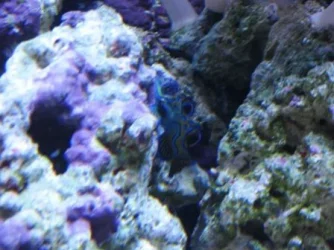 004.webp