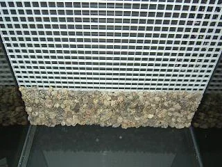 Picture_025.webp Picture_025.webp