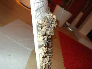 Picture_027.webp Picture_027.webp