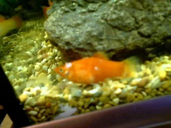 Picture_32.webp Picture_32.webp
