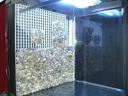EPSN3759.webp EPSN3759.webp