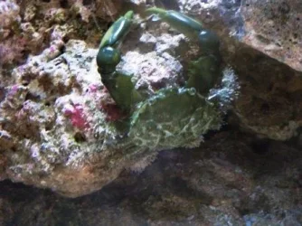 008.webp