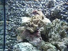 EPSN3949.webp EPSN3949.webp