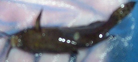 101_0012.webp