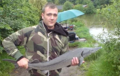 MArksFish3.webp