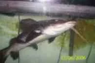000_0237.webp