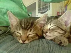 oscar_and_poppy_small.webp oscar_and_poppy_small.webp
