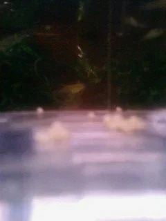 Photo0192.webp