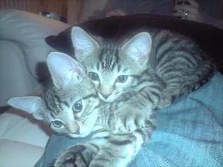 cuddle_time_1.webp cuddle_time_1.webp