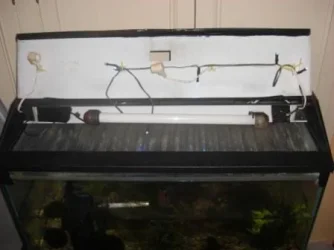 Platy_Tank_Front.webp