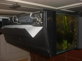 Platy_Tank_Side.webp