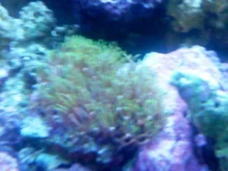 DSC00057.webp