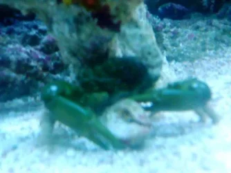 DSC00060.webp