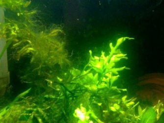plants_2.jpg plants_2.jpg