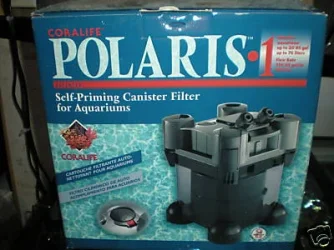 coralife.webp