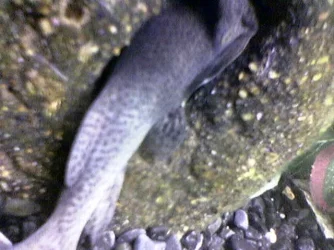 Image003.webp