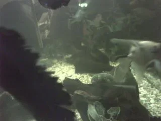 Picture_39bgkf.webp