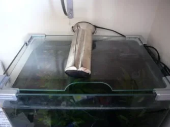 Tank_Lid.webp