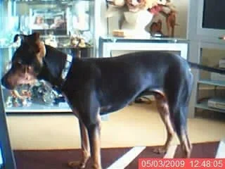 124805.webp