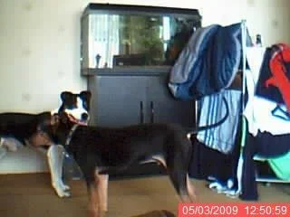 125059.webp