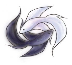 betta_pisces_yin_yang_by_luvmegabyte.jpg