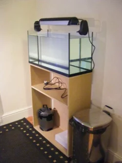 DSCF3454.webp