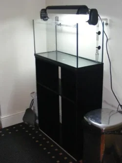 DSCF3456.webp