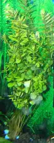 DSCN2051.webp