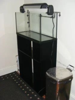 DSCF3459.webp