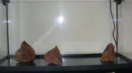 DSCF3474.webp