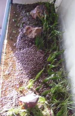 DSCF3484.webp