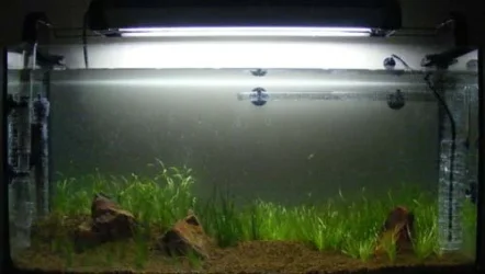 DSCF3503.webp