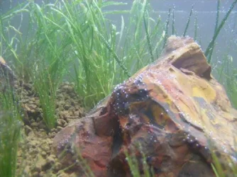 DSCF3489.webp