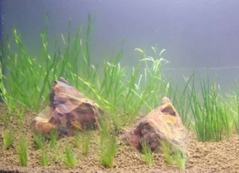 DSCF3518.webp