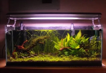 4_weeks.webp