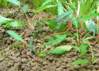 DSCF3563.webp