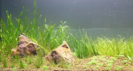 DSCF3566.webp