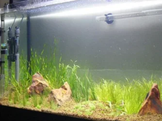 DSCF3568.webp