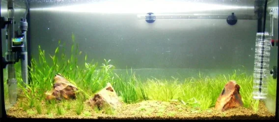DSCF3564.webp