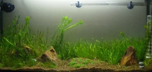DSCF3584.webp