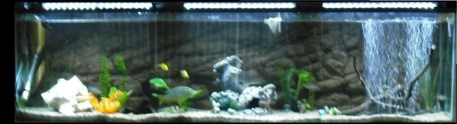 Picture_005.webp